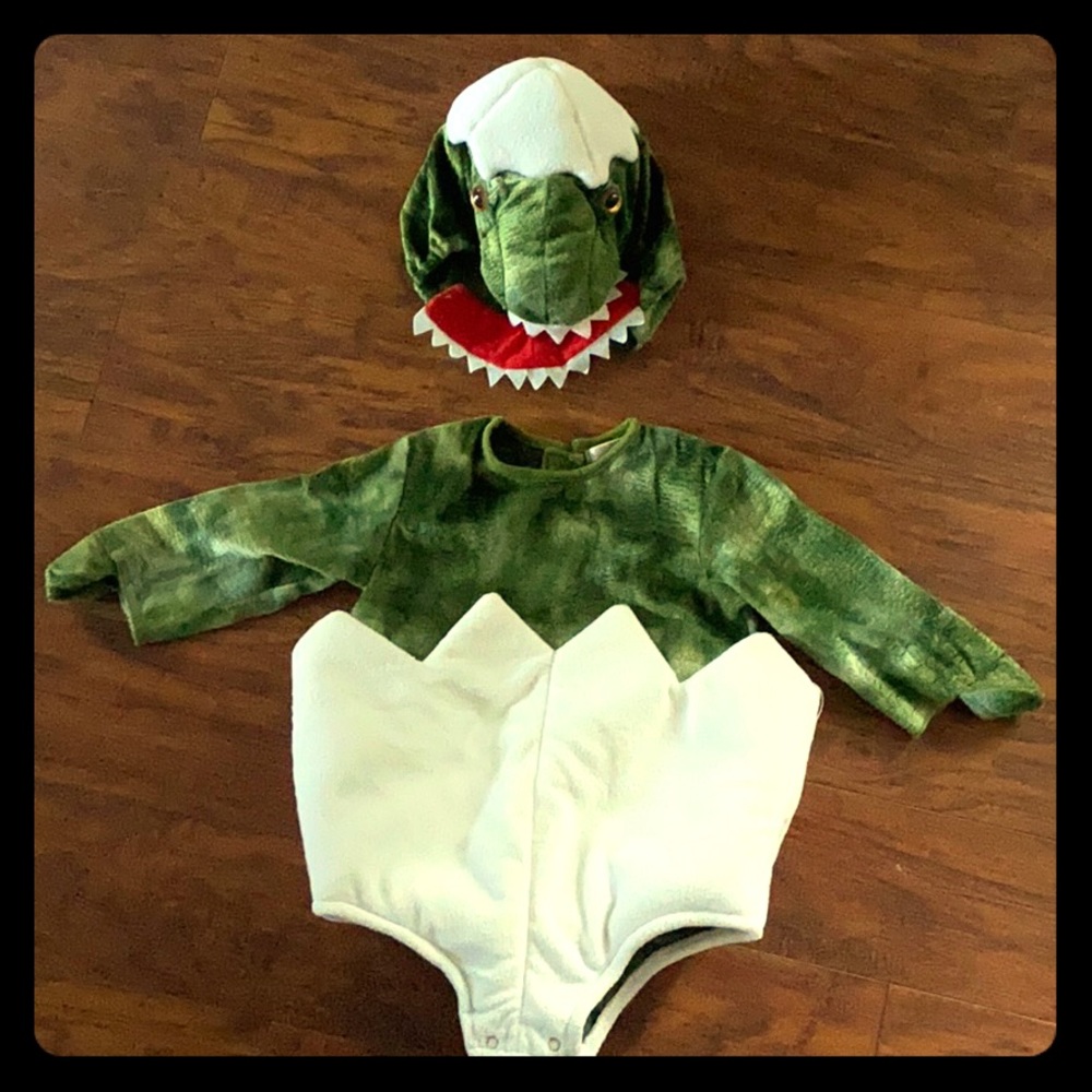 Pottery barn baby Dino costume